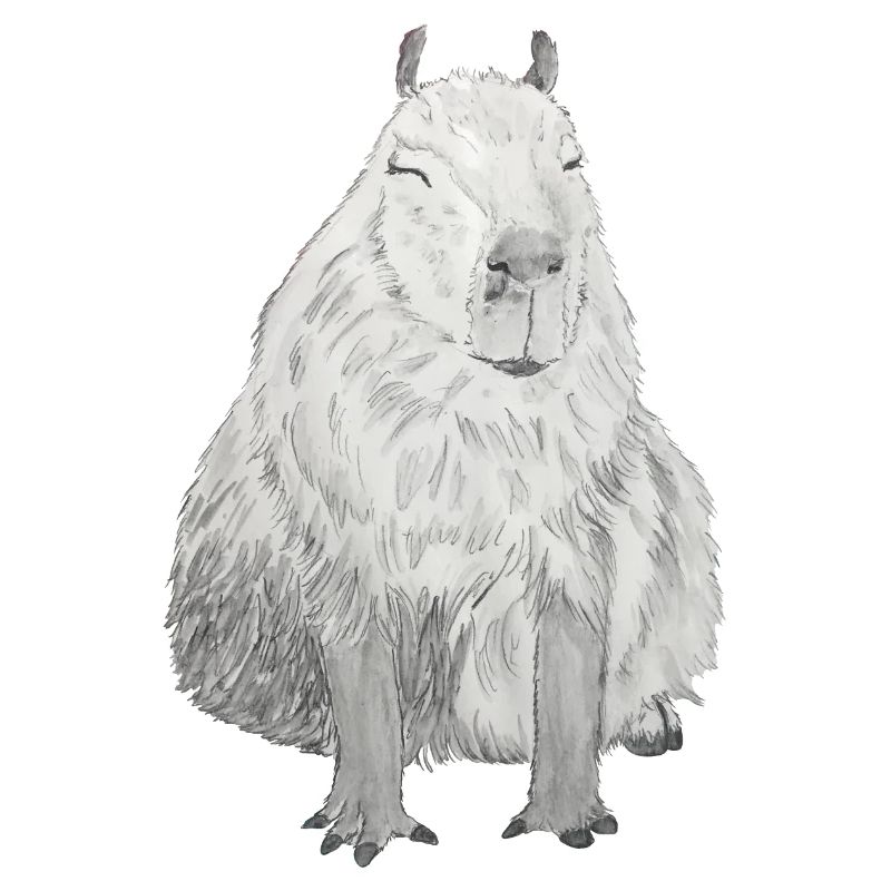 mignon capybara capybara capibara cochon d’Inde