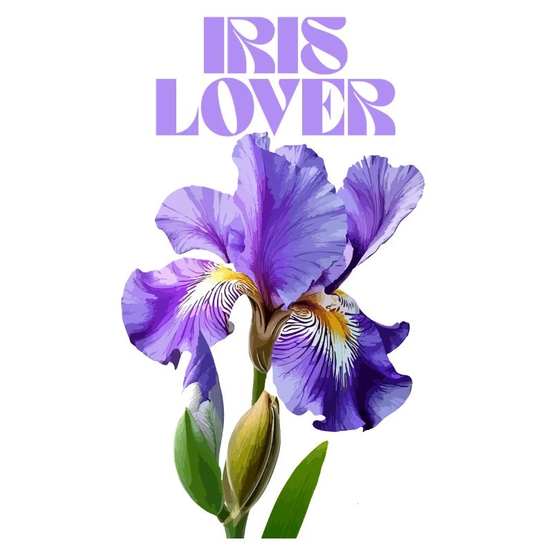 Fleur d’iris violet design botanique