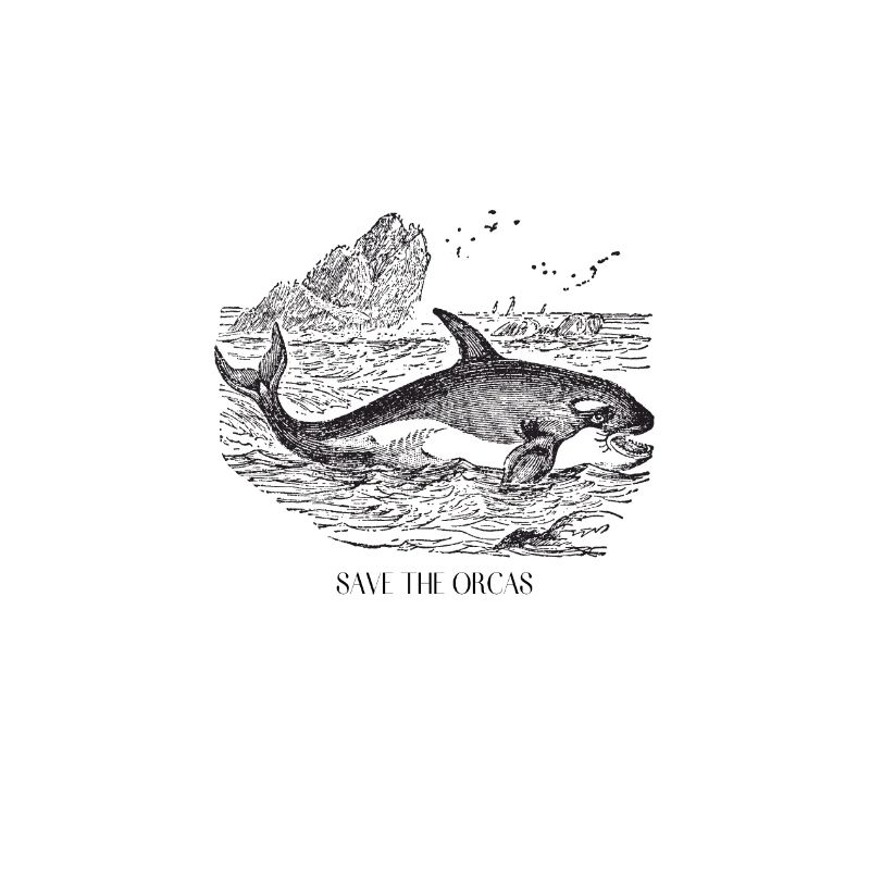 Save the Orcas Killerwal