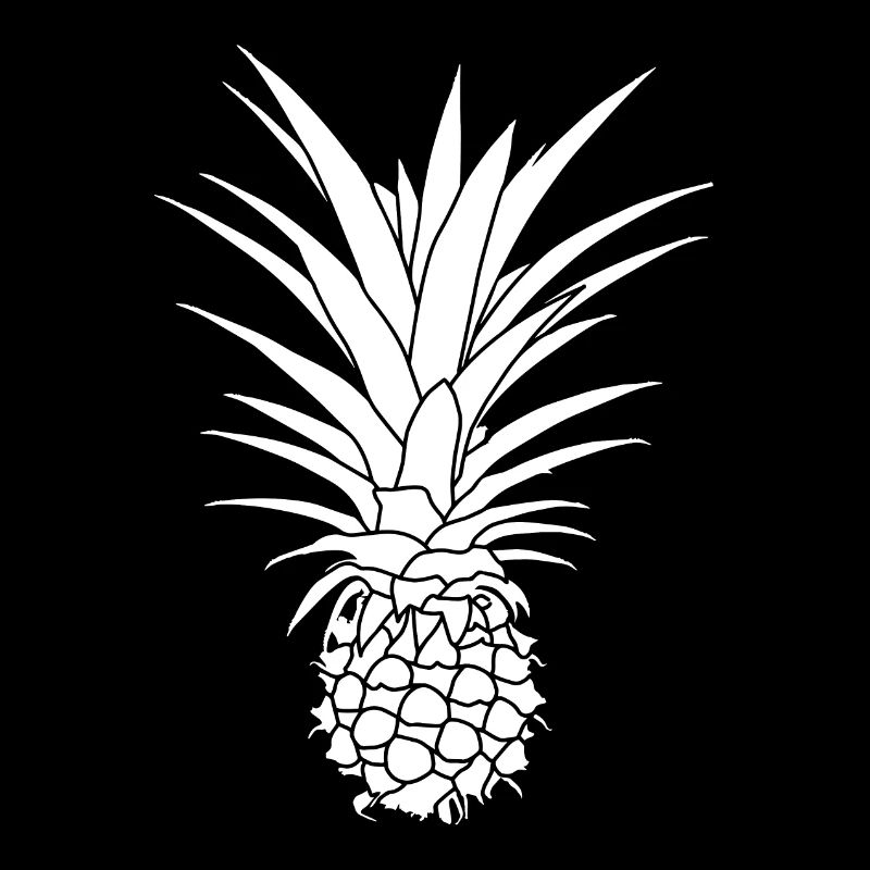 Pineapple Graphic Gift