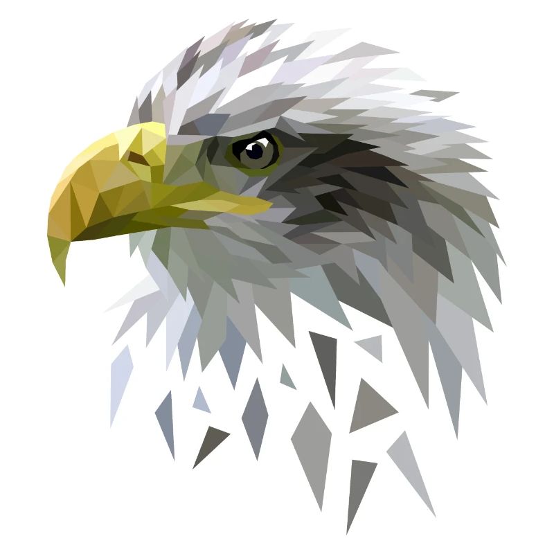 White-tailed eagle low poly polygons geometric