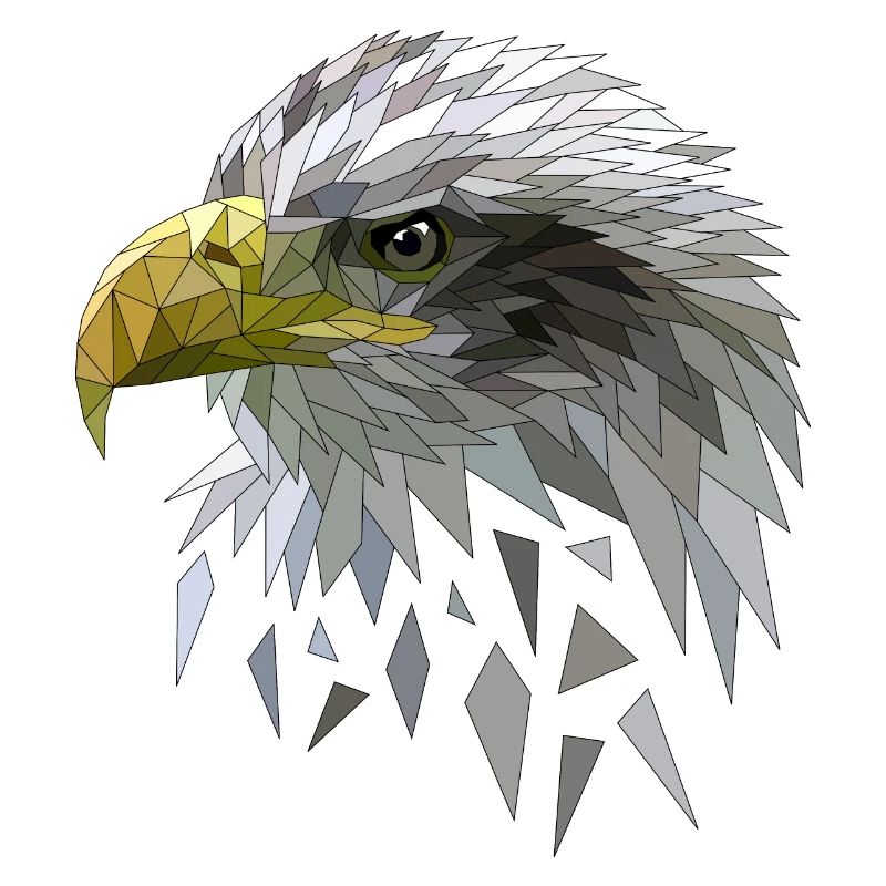 White-tailed eagle low poly polygons geometric