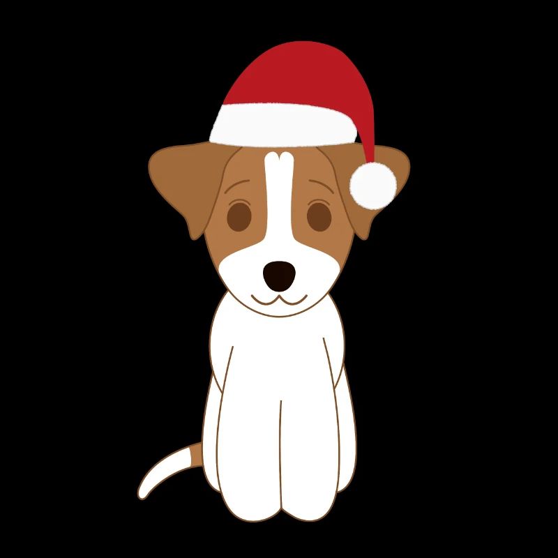 Jack russell Noël