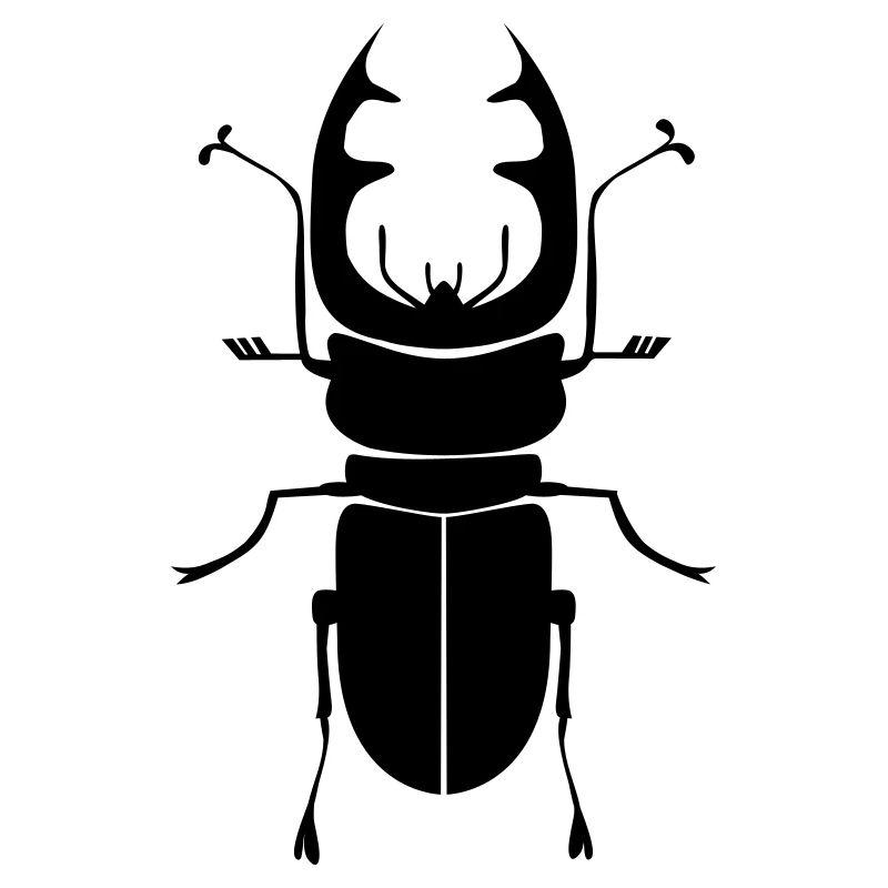 Beetle