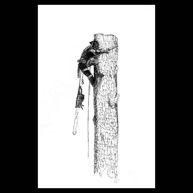 Arborist Tree Surgeon big chainsaw needed