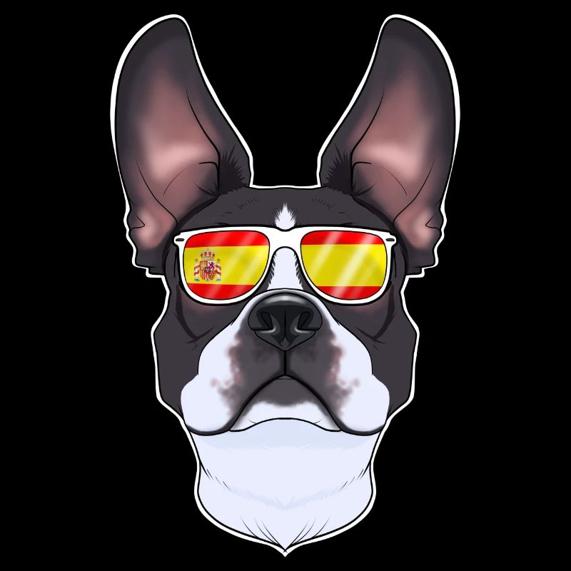 Boston Terrier I Spain Sunglasses I Spanish Flag
