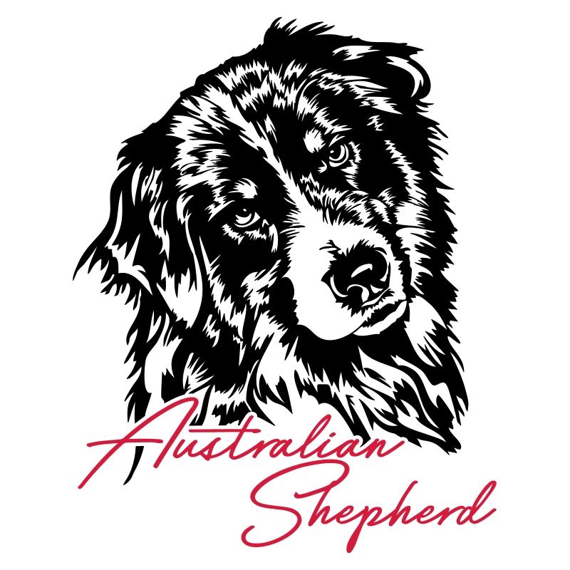 Australian Shepherd Aussie Dog Wilsigns Dog