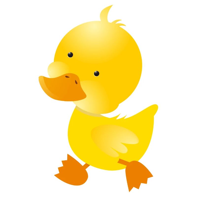 little Duck