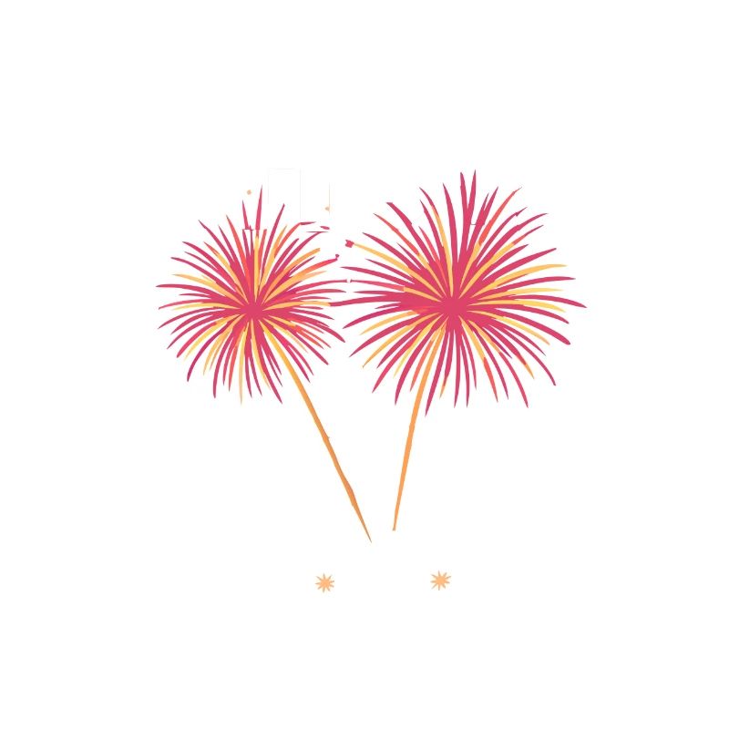 Pyrotechnics Fireworks Pyrotechnics