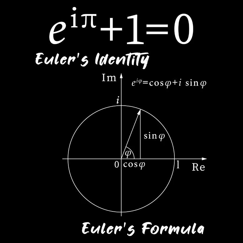 Euler's formula Mathe Schule Geschenk