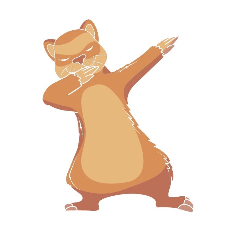 Frettchen