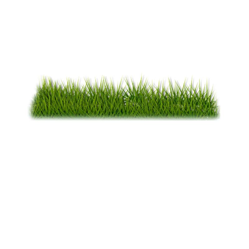 Golf Sport Golfer Golfer Golf course! Golf