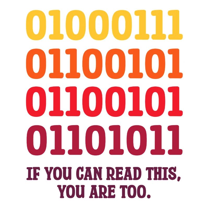 IT Geek, PC Zubehör Speichergeräte Evolution