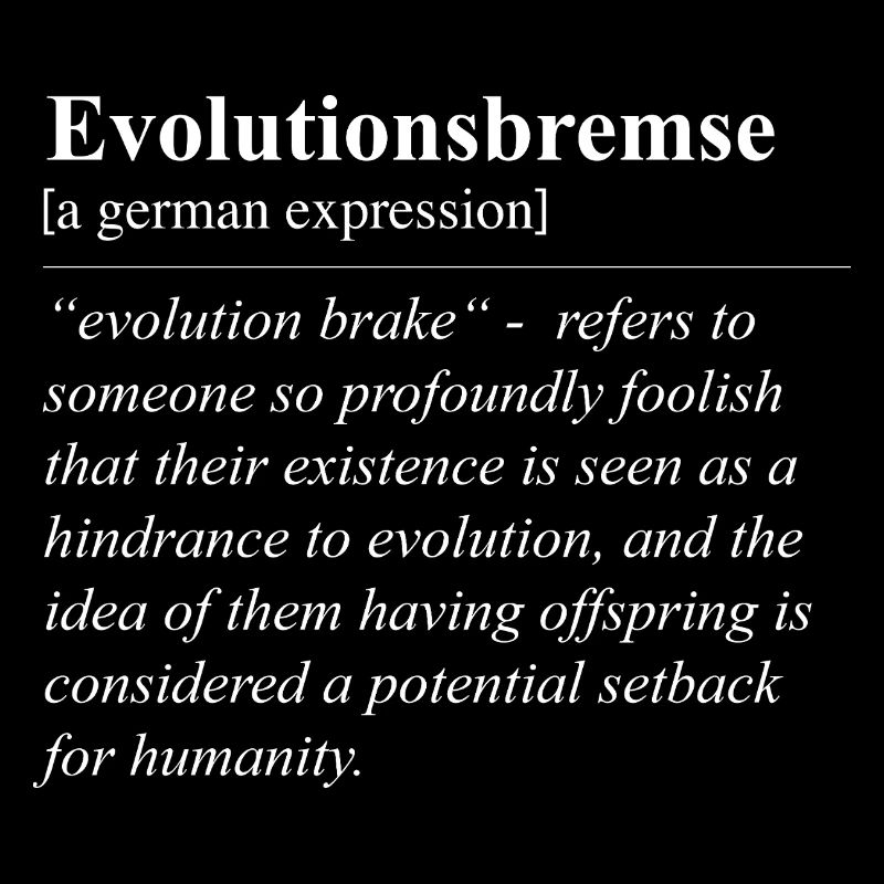 Evolutionary Brake Funny German Idiom