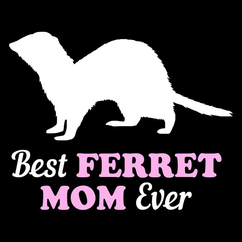 Ferret