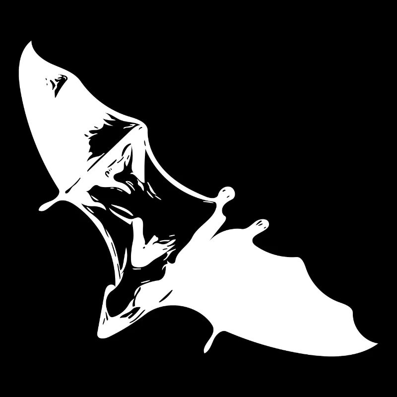 Gliding flying fox