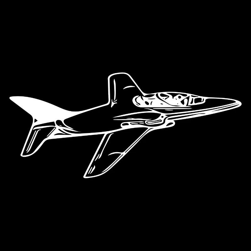 Jet fly flyer