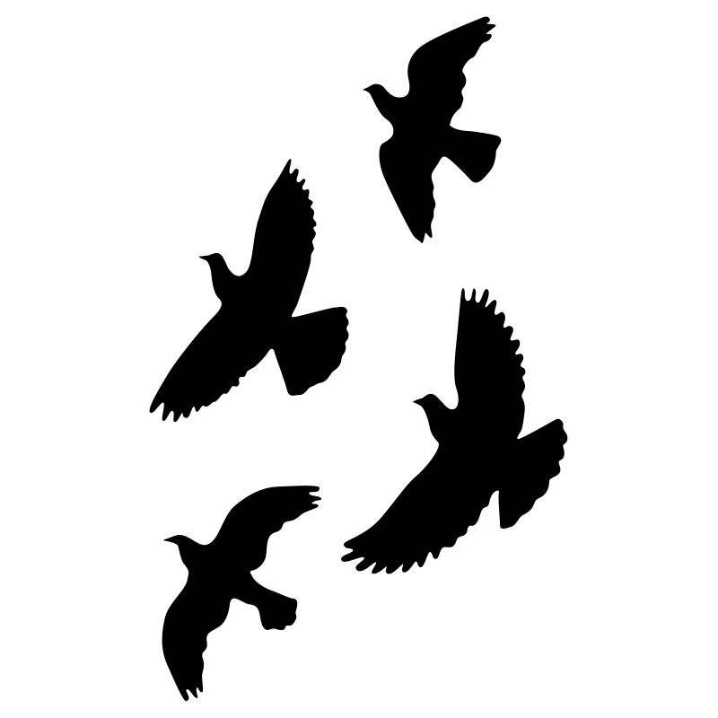 oiseaux