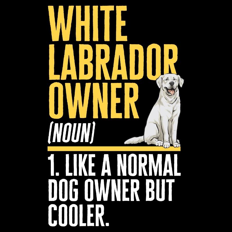 Labrador Retriever blanc Labrador Labrador blanc
