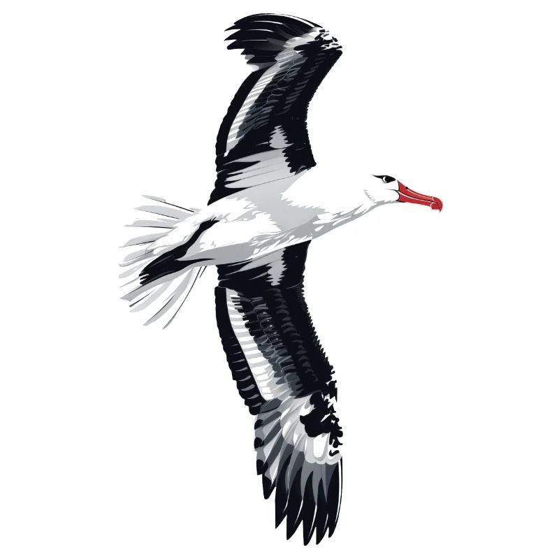 Möwe