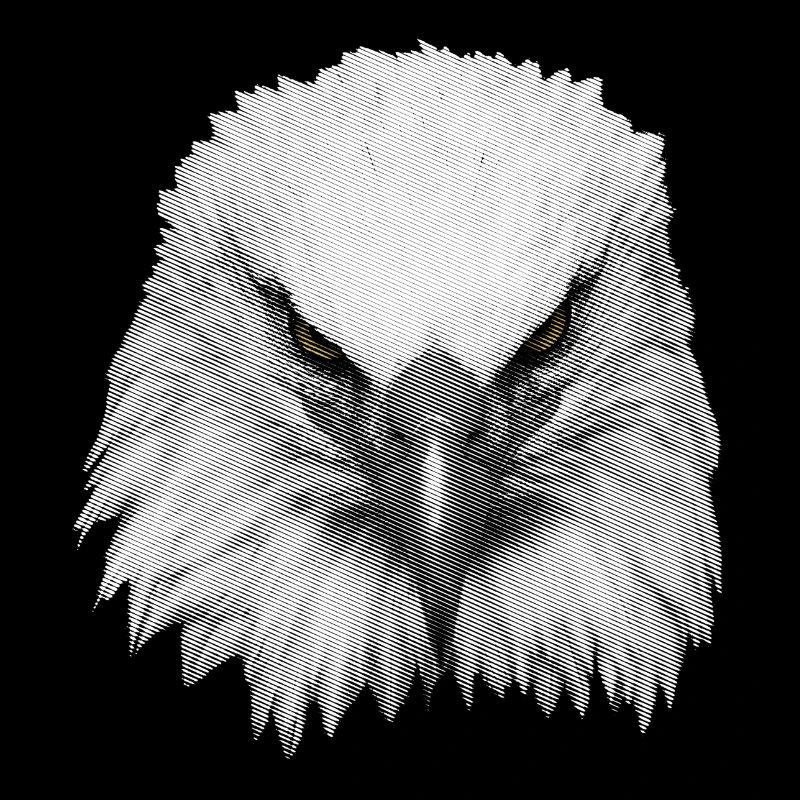 Big eagle head