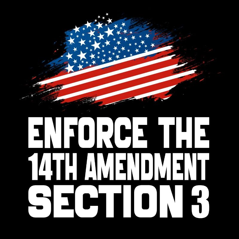 Enforce The 14TH Amendment Section 3