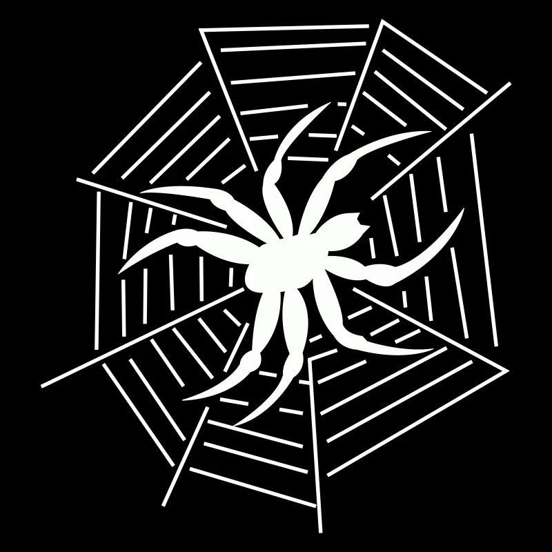 Spinne Spider