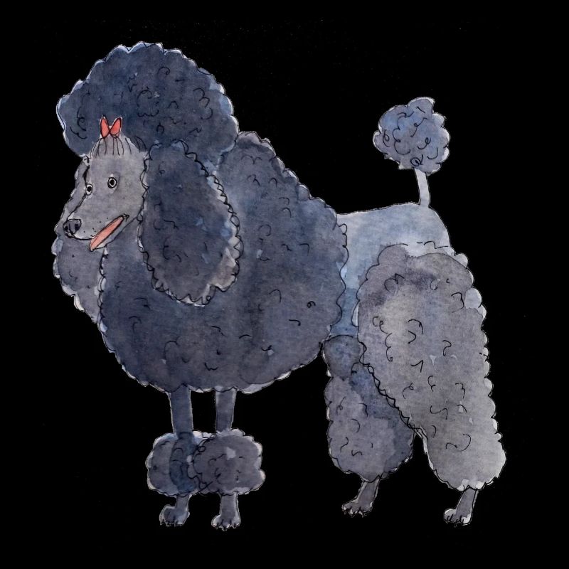 Poodle between - fun