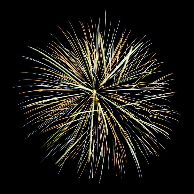 Feu d’artifice - Fireworks (multicolor)
