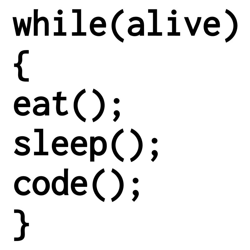 Developer Entwickler Développeur Computer Geek