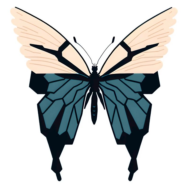 Minimalist Butterfly Simple Butterfly Minimalistic