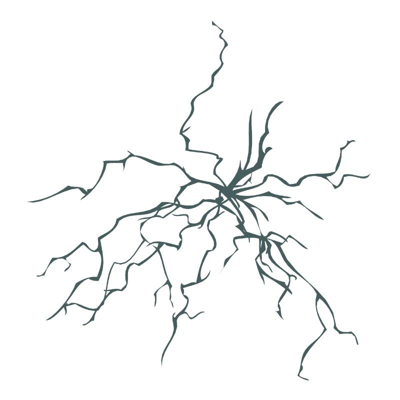 lightning flash 1209 A