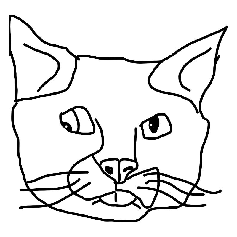 Chat