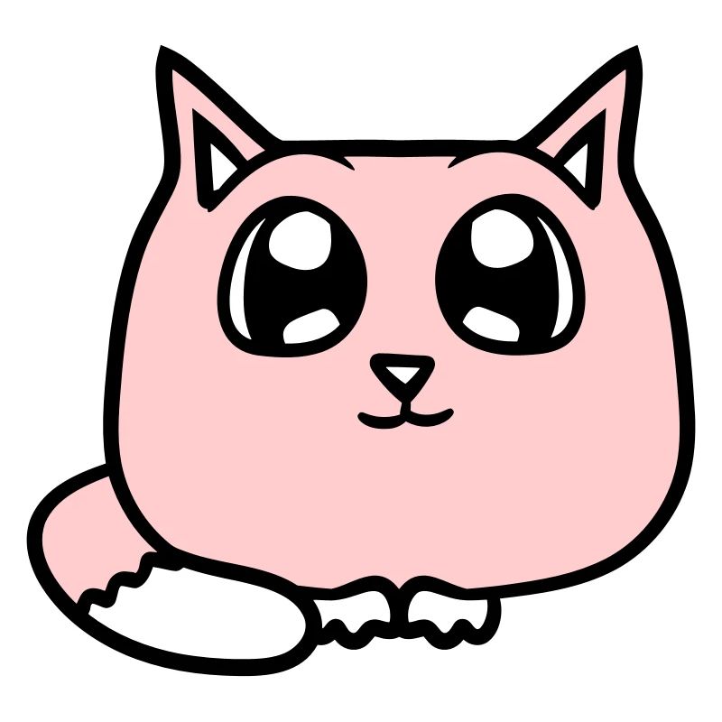Cute Cat Looks Happy Smiling Kitten Fun