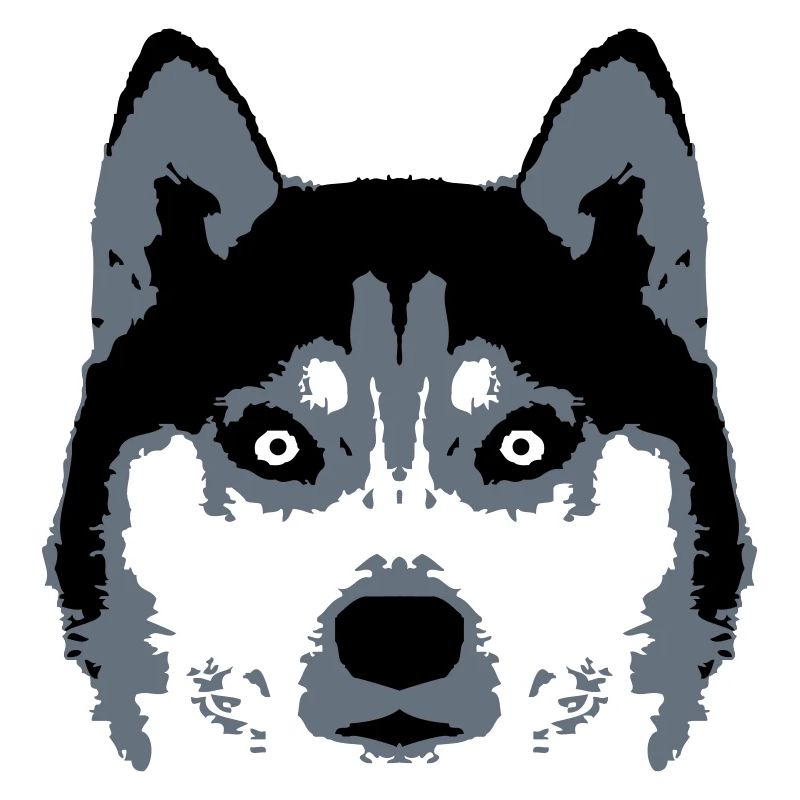 Dog White Husky Face Head Beautiful Breed Cool
