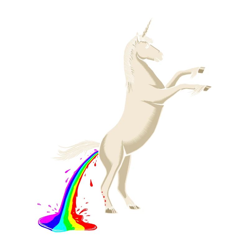 Science Behind Rainbows