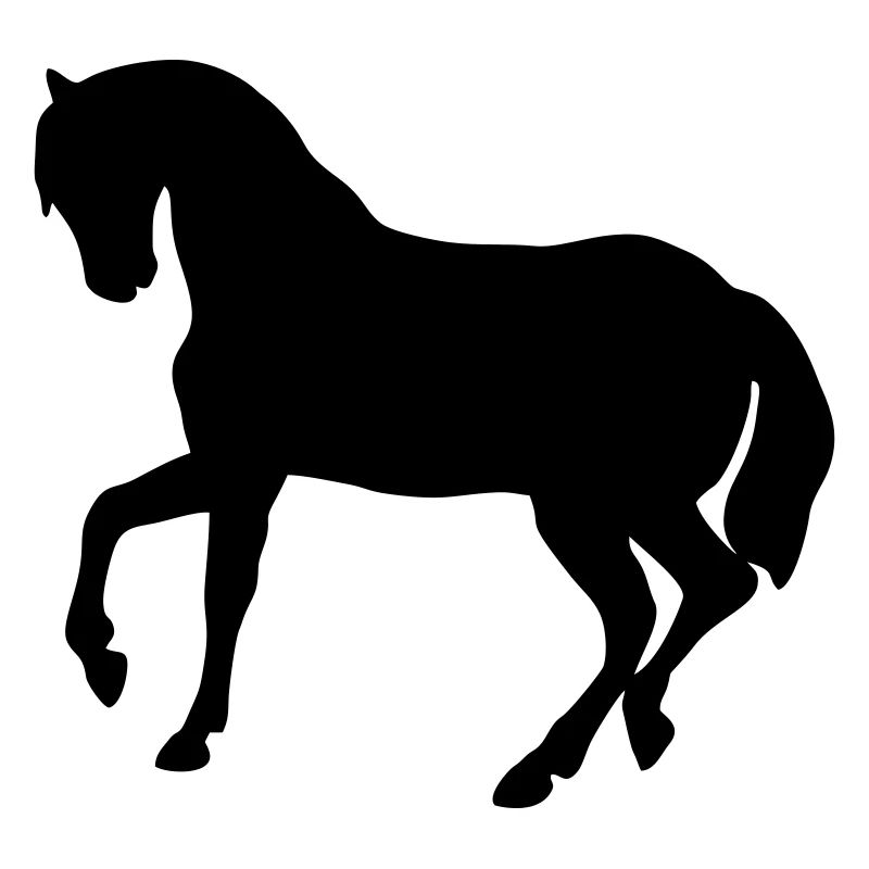 Süßes Pony