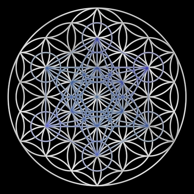 Le cube de Metatron - Fleur de la vie