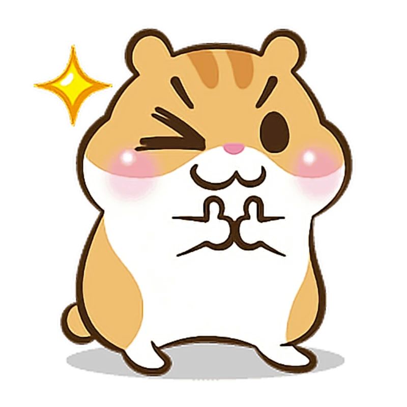 Geschenk Kinder Hamster