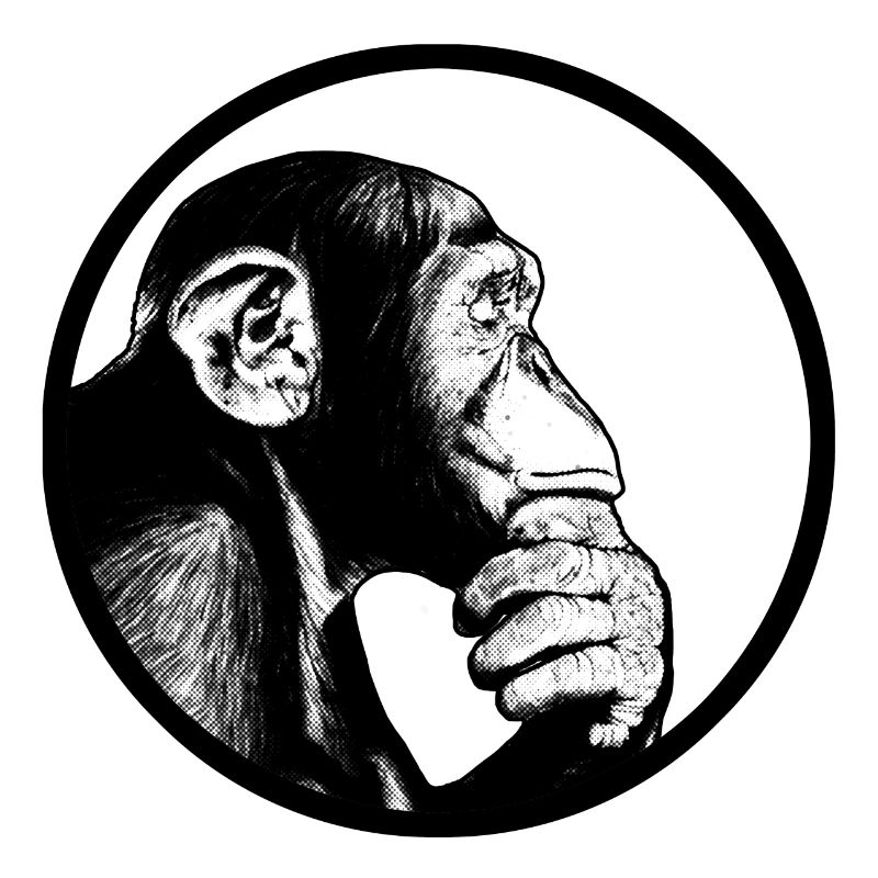 Think after monkey chimpanzee