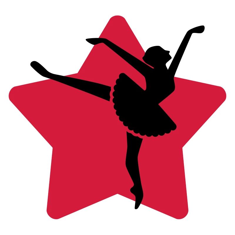 Danse Danseur Danseuse Ballet Opéra