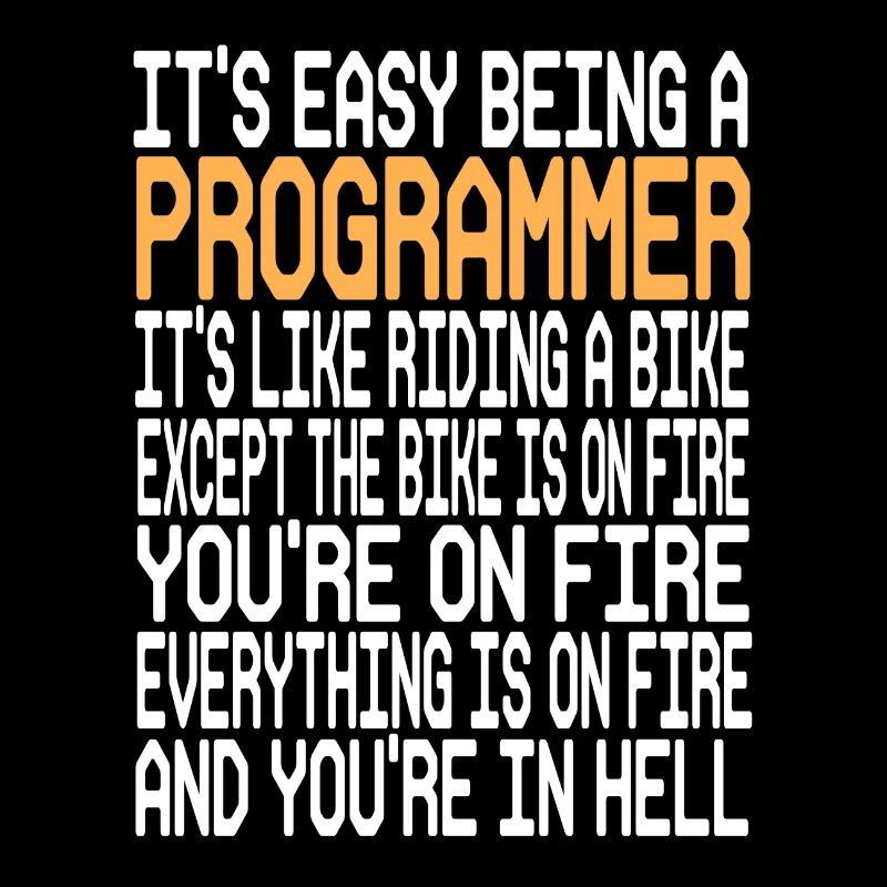 Programmer