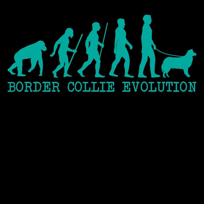 Border Collie evolution