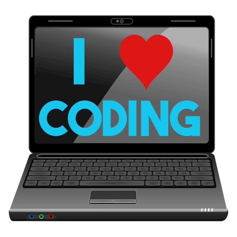 Programmation, programmeurs, informaticiens