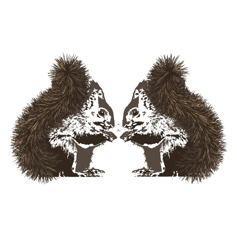 Eichhörnchen, Eichhörnchen