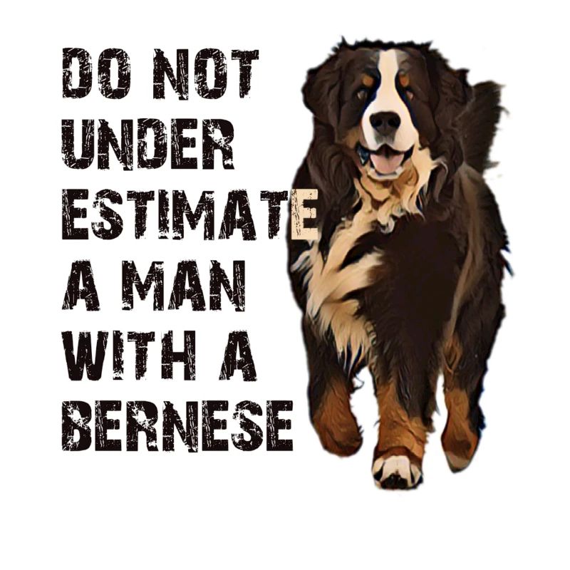 Berner Berghund