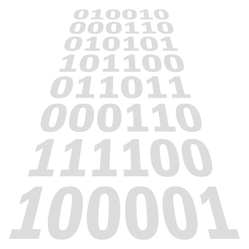 Binary Code Program Language