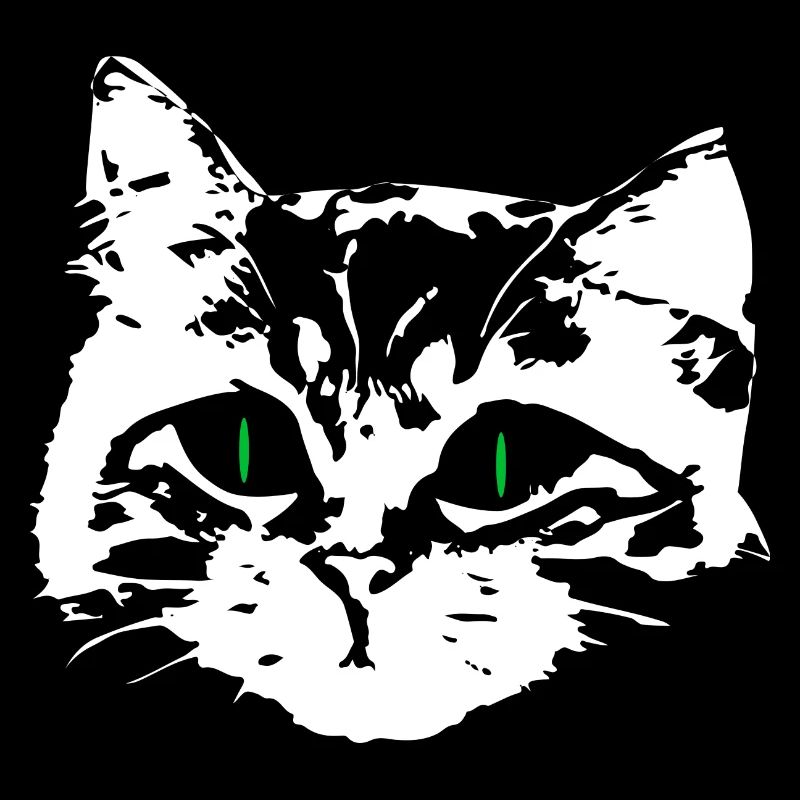Chat amoureux visage