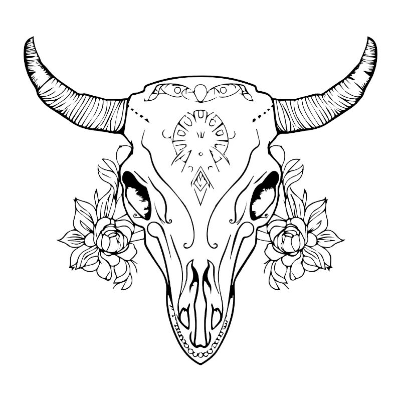 Crâne de vache Boho