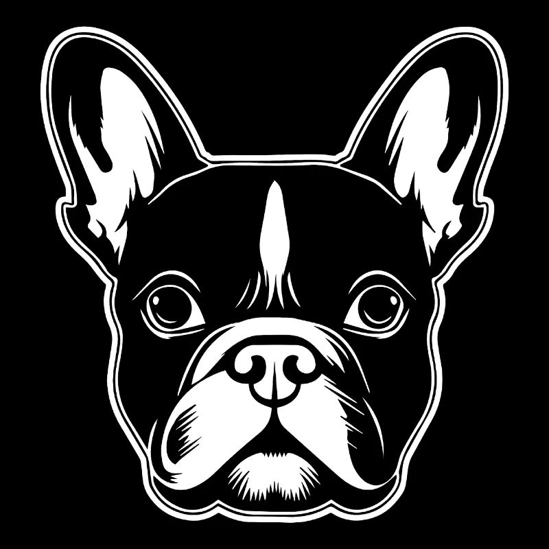 Bouledogue français Terrier de Boston